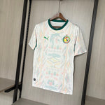 Senegal  26-27 | World Cup | Home