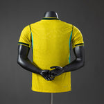 Brazil 26-27 | Home | Player Version